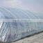 UV protection greenhouse plastic film, anti- aging LDPE flim, greenhouse flim