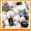 Garden decorative pure snow white pebble stone for hot sale