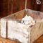 Vintage Primitive Wooden Crate