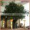 OEM GRC trunk banyan tree manufacturer