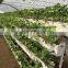 Hot sale commericial strawberry greenhouse with hydroponic system