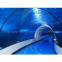 Acrylic Tunnel