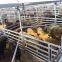 Square Pipe Cattle panels
