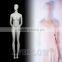 Fiberglass Woman Mannequin Female Dummy Model HELENA