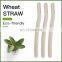 Private Label Eco Friendly Biodegradable Wheat Straw Material Facial Eyebrow Razors Trimmer