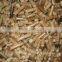 Hotest Biofuel Wood Pellets