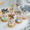 6pcs Japanese Korean Style Desktop Small Flowerpot Cactus Decorative Plant Pots Animal Owl Flower Pot
