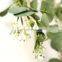 Wholesale Decoration Hanging Garland Wreath Artificial Eucalyptus Leaves For Garden Decor