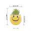 Amazon Cute Emoticons Indoor Artificial Faux Potted Variegated Plants Haworthia Succulent Cactus Plants Potted Bonsai