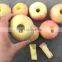 Stainless steel avocado pitter machine apple core remove machine cherry corer machine