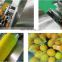Factory Price Mesh Net Bag Weighing Packaging Machine citrus pepper Packaging Sealing Machine