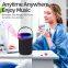 Portable handheld home rock gift party home use karaoke music mic player microphone wireless for youtuber