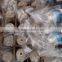 tfc ro membrane for ro plant SCR501-HZ50G