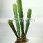 Wholesale Artificial Cactus And Succulent Artificial Bonsai Succulent Plants