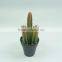 Artificial cactus bonsai in small size for indoor decoration