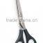 Plastic Handle Scissors