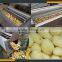 Leader new design potato washing peeling machine website:leaderservice005