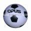 Clear bouncing ball