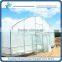 Sp-P-C-8-H Multi-Span PC Sheet Horticultural Greenhouse