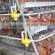 Intensive Bird Poultry Layer Cage For Sale