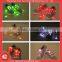 flashing led light up shoelace buckles