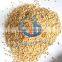 Automatic Nut Cutter Machine /nut Cutter for Home and Commercial