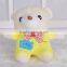 China Cheap OEM Soft Toys Wholesale Kids Toys Sleeping Teddy Bear Toy