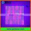 16x16 RGB color programmable ws2812 ws2812B flex led matrix display