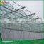 Venlo roof type glass greenhouse greenhouse glass windows