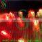 Removeable LED clip light Christmas decoration running festoon light
