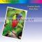 RC Double Sided Paper Glossy