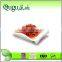 Dried meterial canned pinto beans with good quality