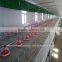 hot sale automatic broiler mechanized poultry farming