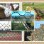 pvc coated hexagonal wire mesh/hexagonal chicken wire mesh