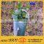Strong and UV Stable Corflute Tree Protector, Protector for Trees