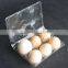 egg tray plstic egg container with 6 covers