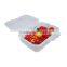 Semitransparent Crisper Plastic Lunch Box in BPA Free