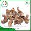 Lowest Price Premium Dried Galangal Roots