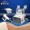 Fashion and High Effective cryolipolysis freezing fat to lose weight
