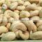 Cashew Nut