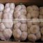 Supply China Garlic in Low Price