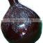 Indian SITAR SPECIAL RAVI SHANKAR STYLE WITH FIBER BOX QUALITY STRING India Musical Instrument