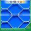 chicken wire netting/hexagonal wire mesh