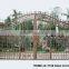 Customized Residential wrought iron/galvanized powder coated steel/Iron Glass Gates