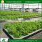 2017 High quality greenhouse commercial hydroponic systems for sale