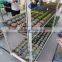 730 Seedling pool rack