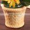 Creative table decor silk sunflower artificial bonsai supplies