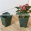 Chinese Rose Flower Pot