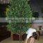 wholesale artificial olive tree , green bonsai olive tree