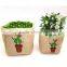 New Design Cactus Printing Jute With Felt Plant Pot Cover Bags